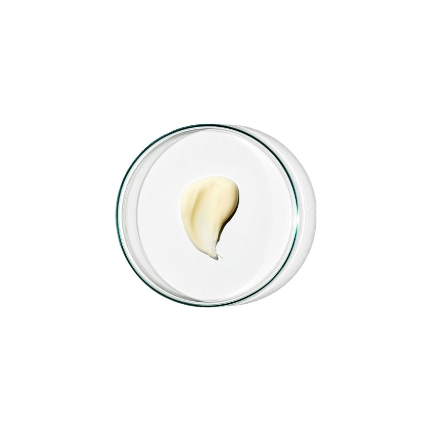 Regenerating Night Cream - 40ml